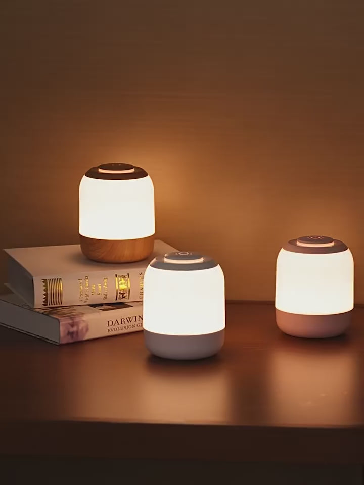 LED-Camping-Nachtlicht, 2400 mAh Typ-C-Lade-Nachttischlampen, stufenlose Dimmlaterne, Touch-dimmbare Lampe für die Innendekoration