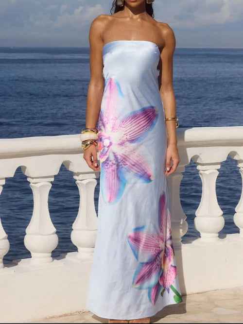 Stylish Printed : Tube Maxi Dress