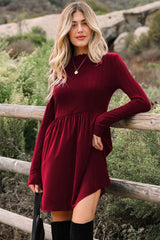 Ribbed Knit Patchwork Long Sleeve Dress